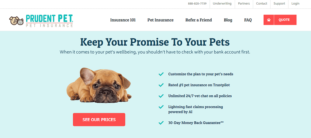 Prudent - healthy paws pet insurance